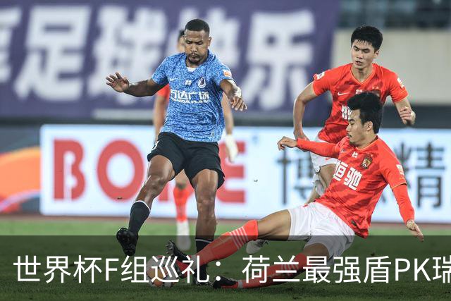 世界杯F组巡礼：荷兰最强盾PK瑞典犀利刀 日本短板明显