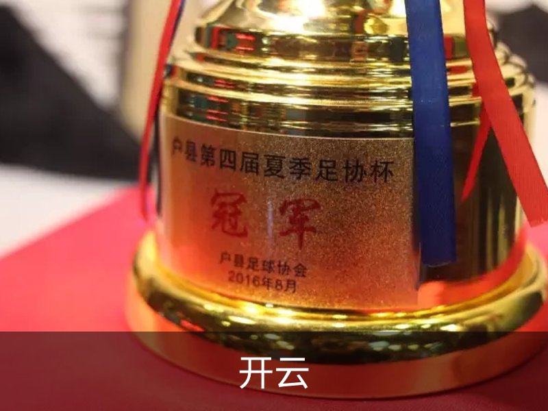 开云·体育 (kaiyun)官方网站_KAIYUN SPORT